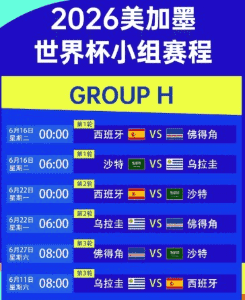 开云体育数据面板 实时比分